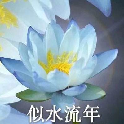 王者电玩城18066官网
