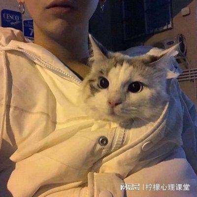 激进投资机构购入新思科技数十亿美元股份,公司股价大涨