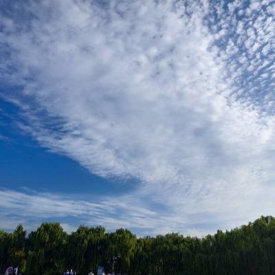 极速汽车模拟驾驶