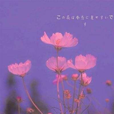 部落战魂