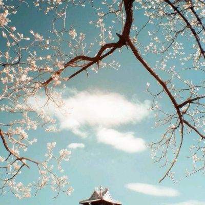 TMT50ETF招商（159909）跌1.84%，成交额169.88万元