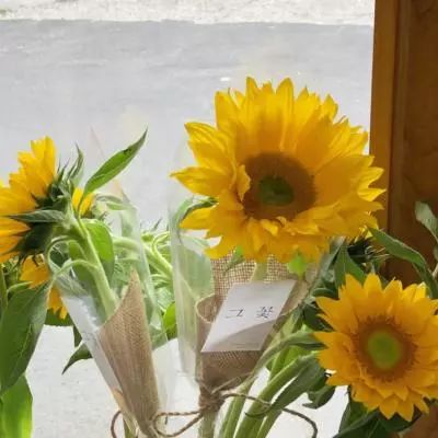 英国航空将为节油飞行员发奖金